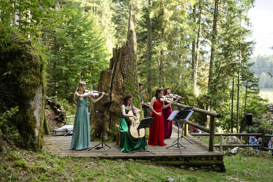 Progetto Anima | Quartetto d