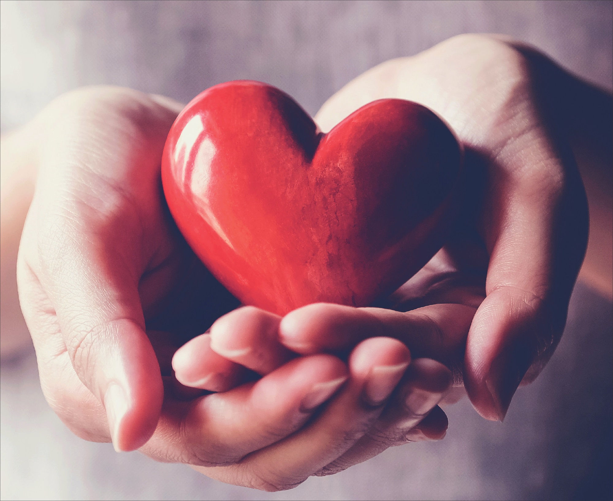 Donazione Ospedale di Trento